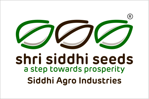 Shiri Siddhi Seed